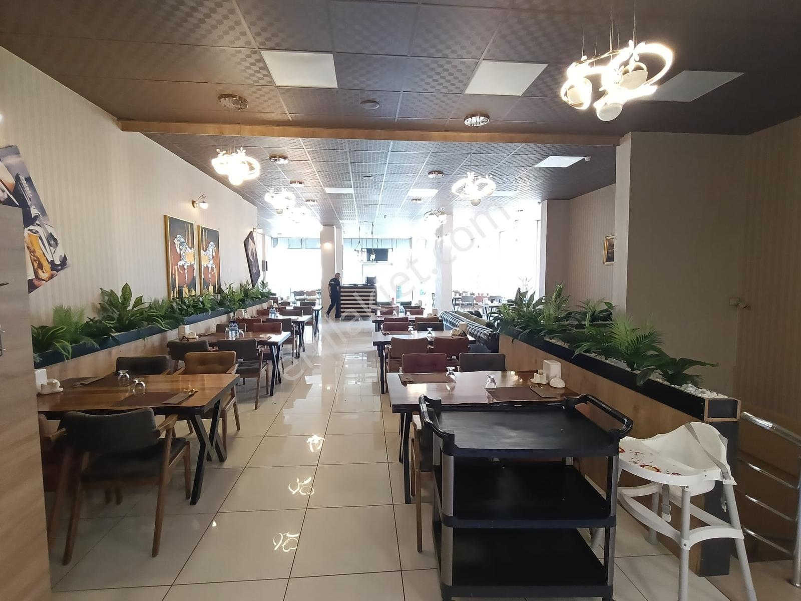 Yıldızkent Cadde Üzeri Devren Kiralık Faaliyette Restoran - Görsel 3