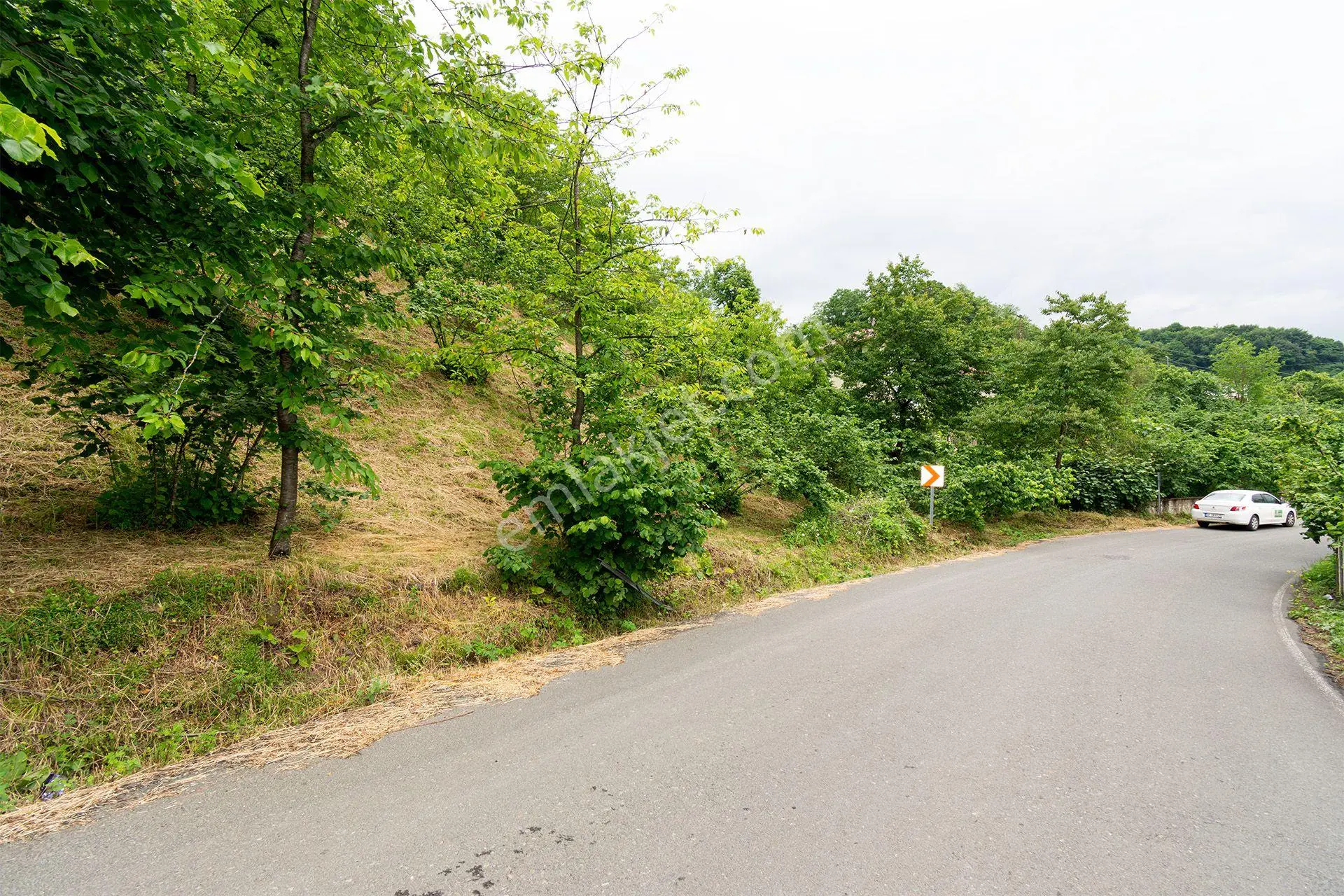 Ordu Yağızlı Mah. 1.500 M² Satılık Fındık Bahçesi Arazi Açık Vadi Manzaralı - Görsel 4
