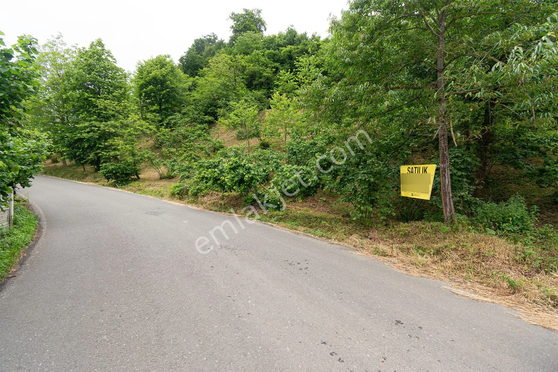 Ordu Yağızlı Mah. 1.500 M² Satılık Fındık Bahçesi Arazi Açık Vadi Manzaralı - Görsel 2