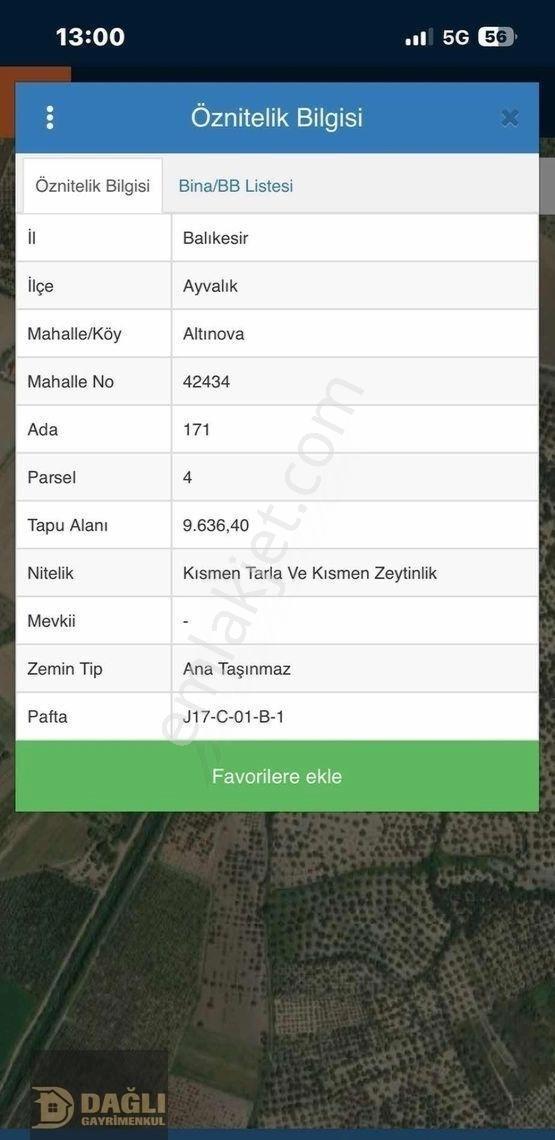 Dağlı Gayrimenkulden Yola Cepheli 9.636 M² Değerli Zeytinlik - Görsel 12