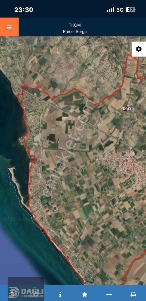 Dağlı Gayrimenkulden Yola Cepheli 9.636 M² Değerli Zeytinlik - Görsel 10