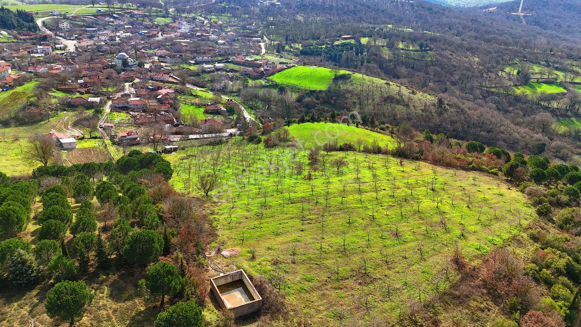 Re/max İnci'den Karesi Kırmızılarda Satılık 11.700 M² Tarla Ve Bağ Evi - Görsel 5