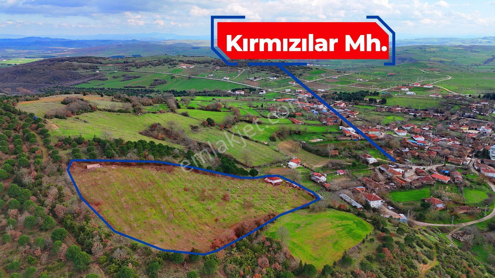 Re/max İnci'den Karesi Kırmızılarda Satılık 11.700 M² Tarla Ve Bağ Evi - Görsel 3