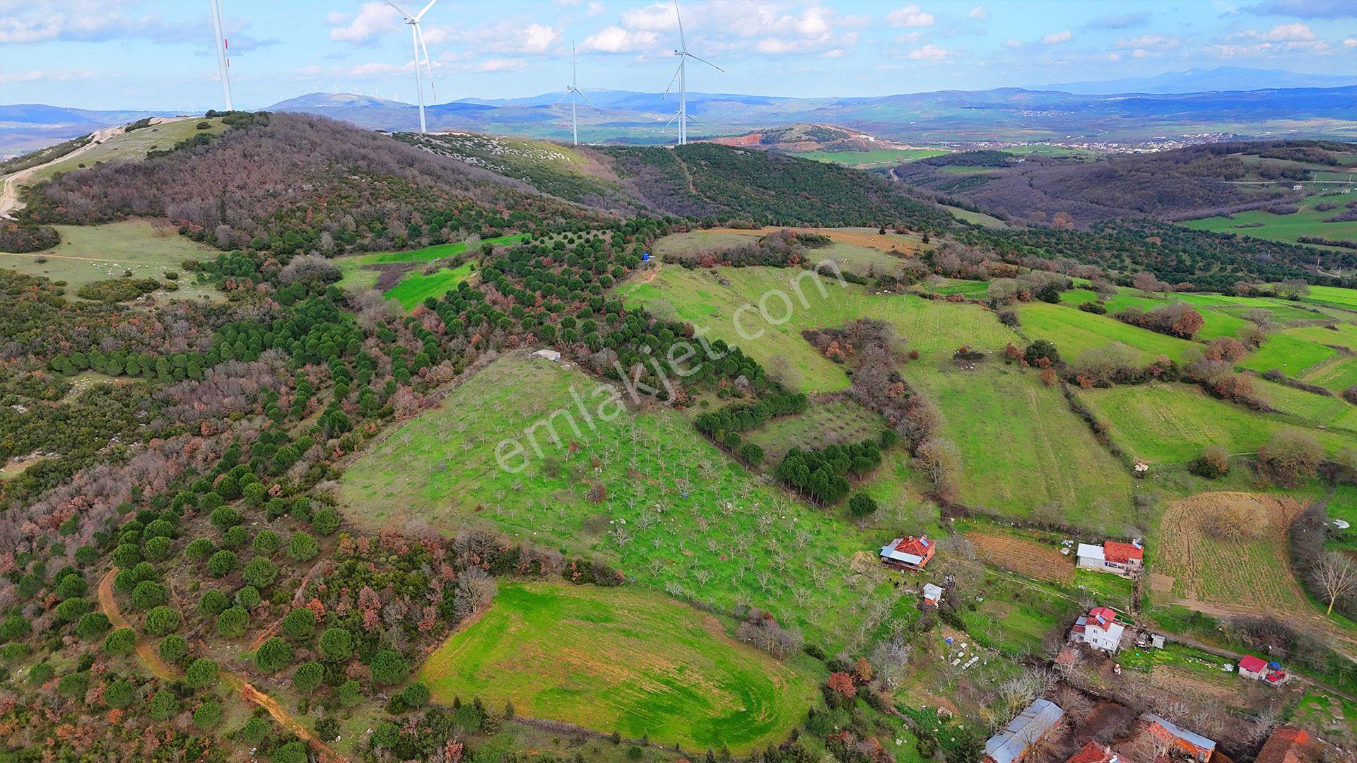 Re/max İnci'den Karesi Kırmızılarda Satılık 11.700 M² Tarla Ve Bağ Evi - Görsel 8