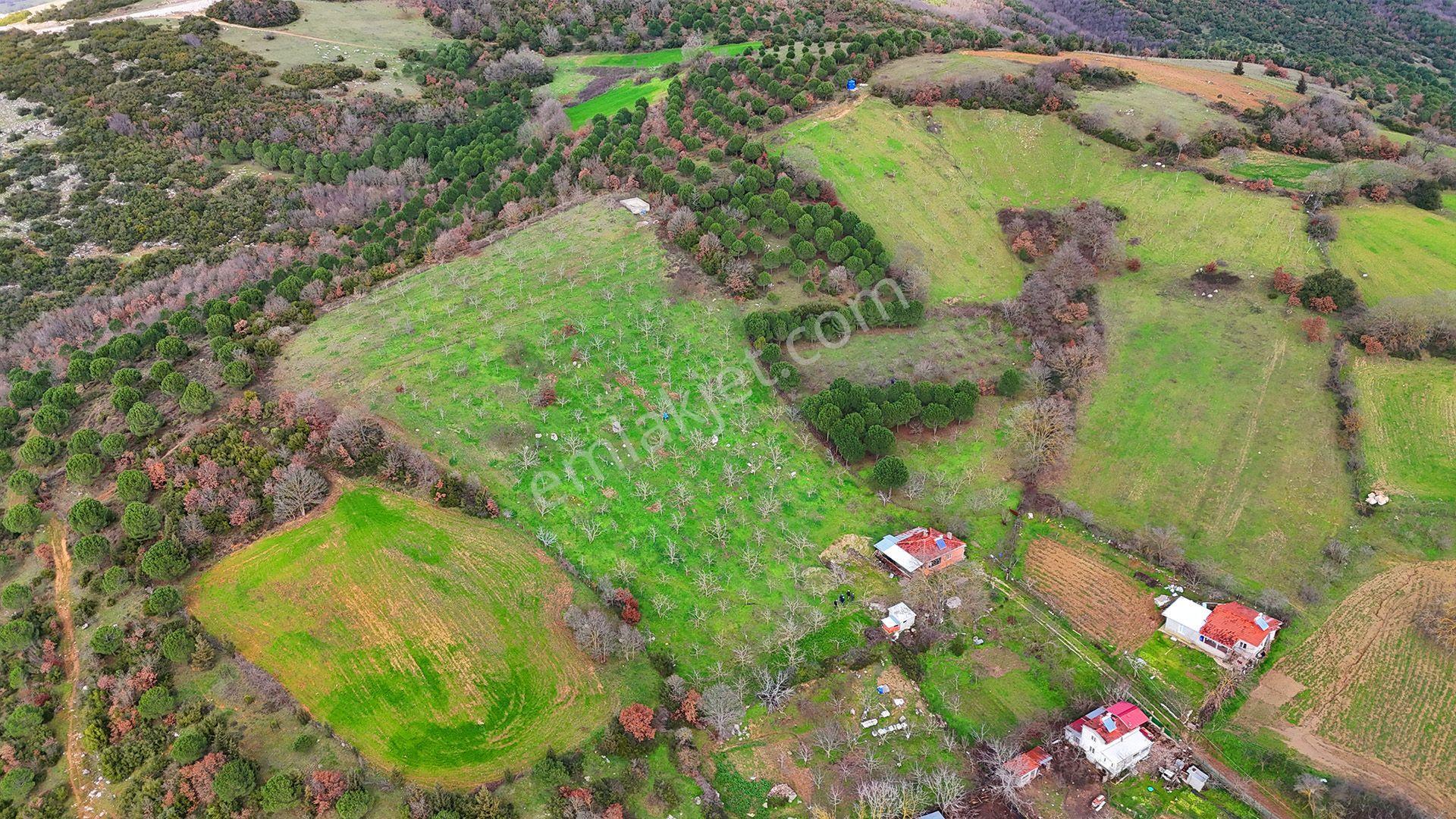 Re/max İnci'den Karesi Kırmızılarda Satılık 11.700 M² Tarla Ve Bağ Evi - Görsel 24