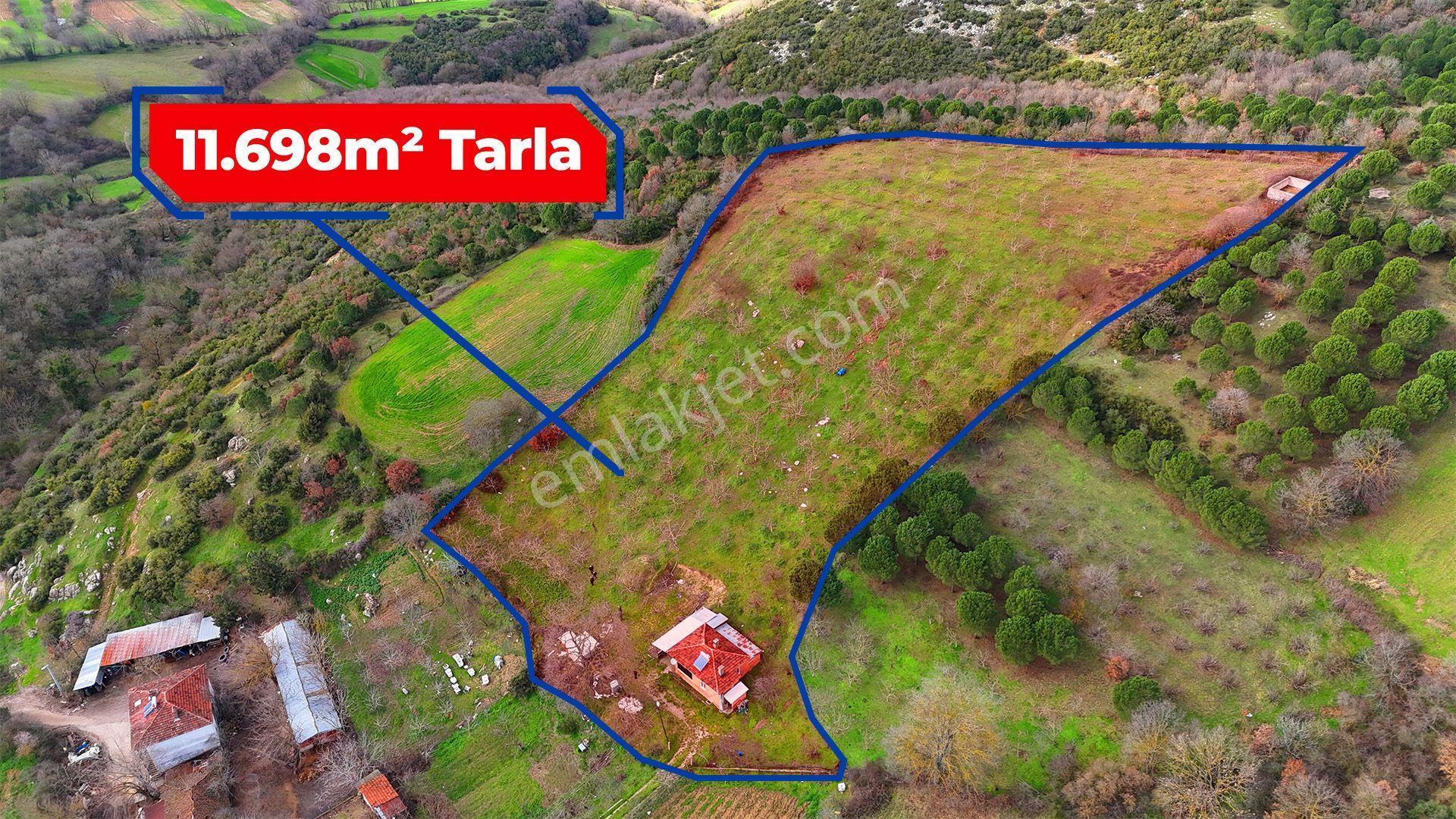 Re/max İnci'den Karesi Kırmızılarda Satılık 11.700 M² Tarla Ve Bağ Evi