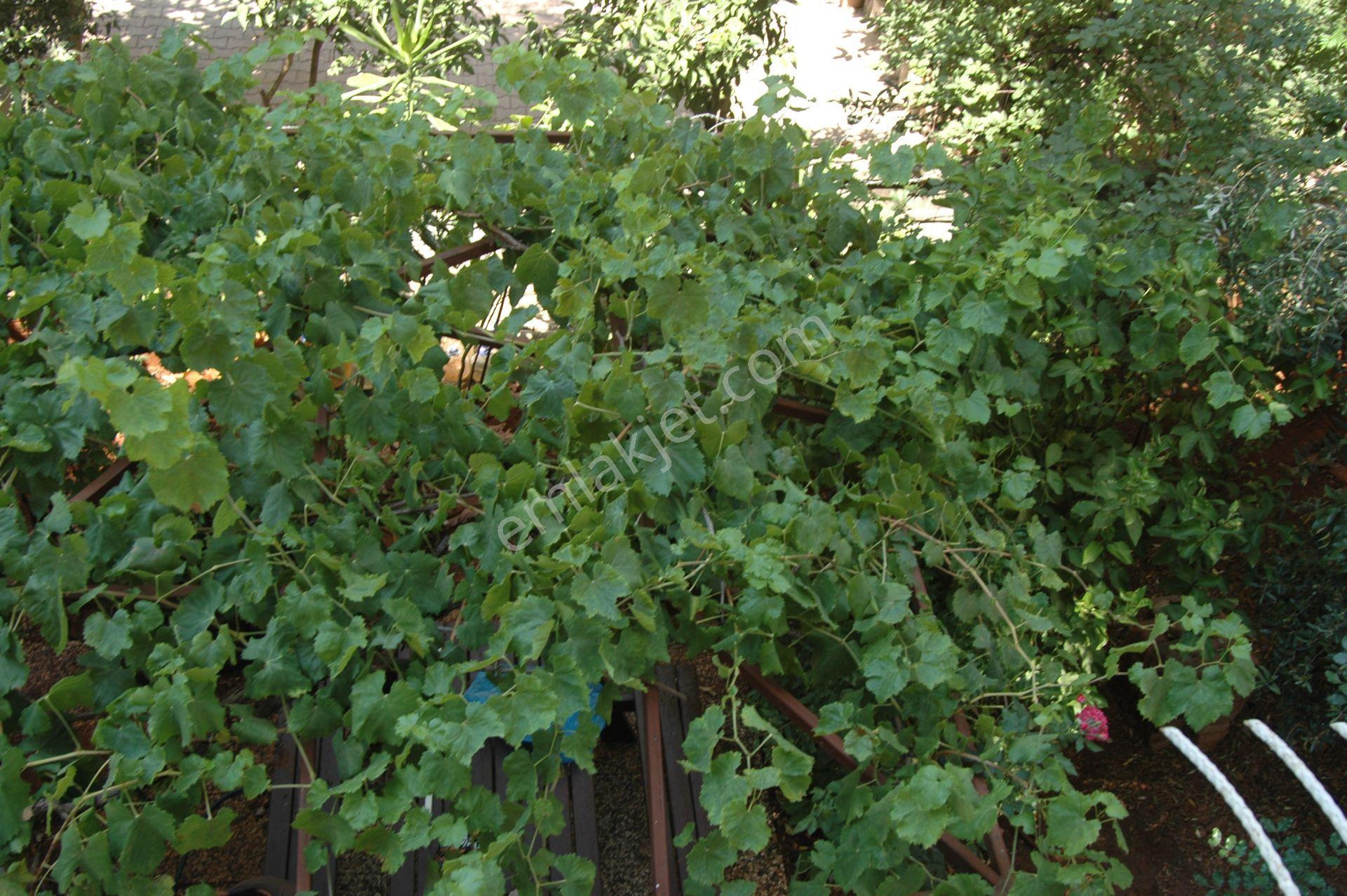 Antalya Muratpaşa Muratpaşa Mah.2 Kat 130m2 25.000tl - Görsel 4