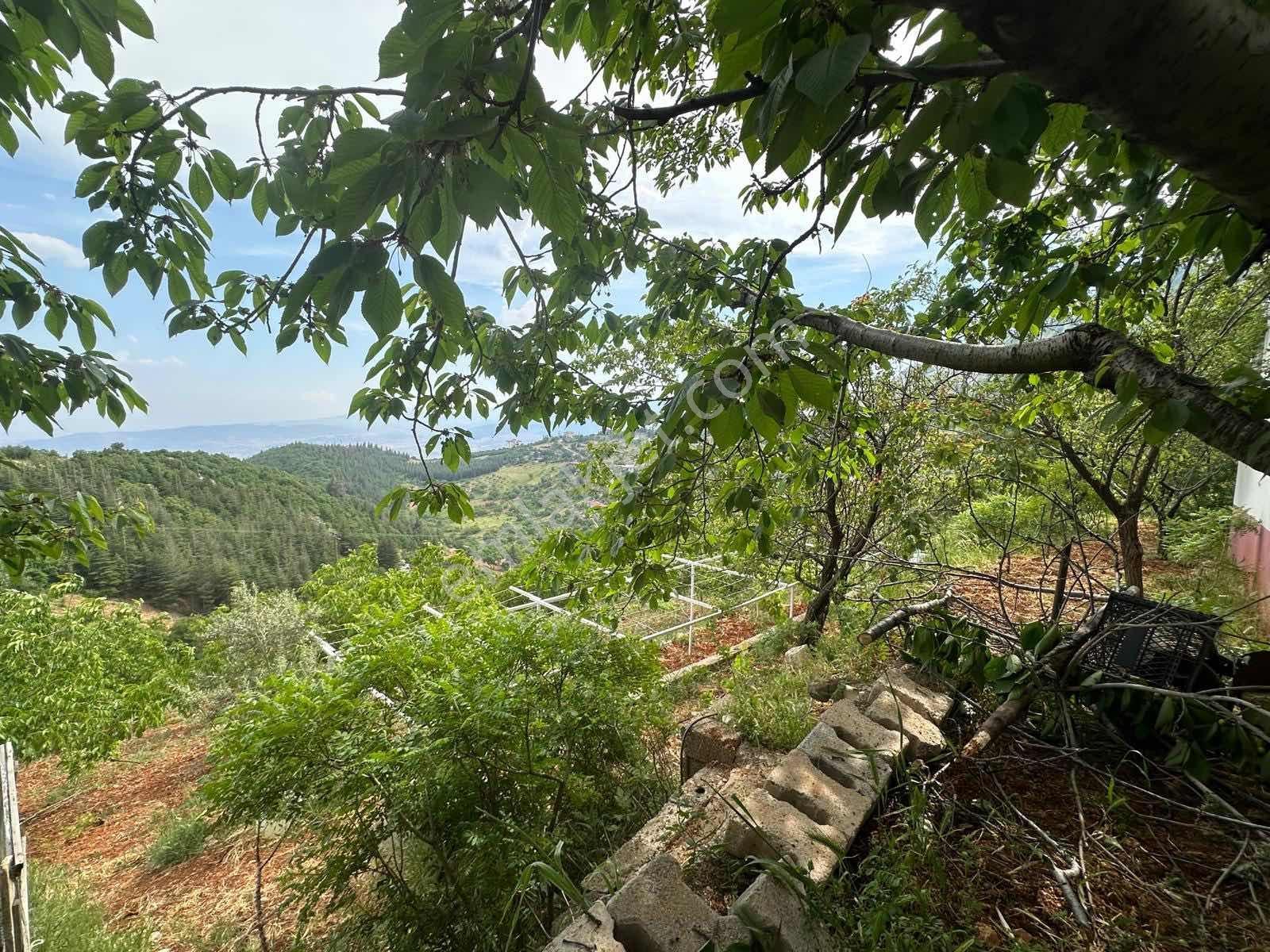 Remax Yeni'den Kuzey Çevre Yolu Üstünde Satılık Bağ & Bağ Evi - Görsel 5