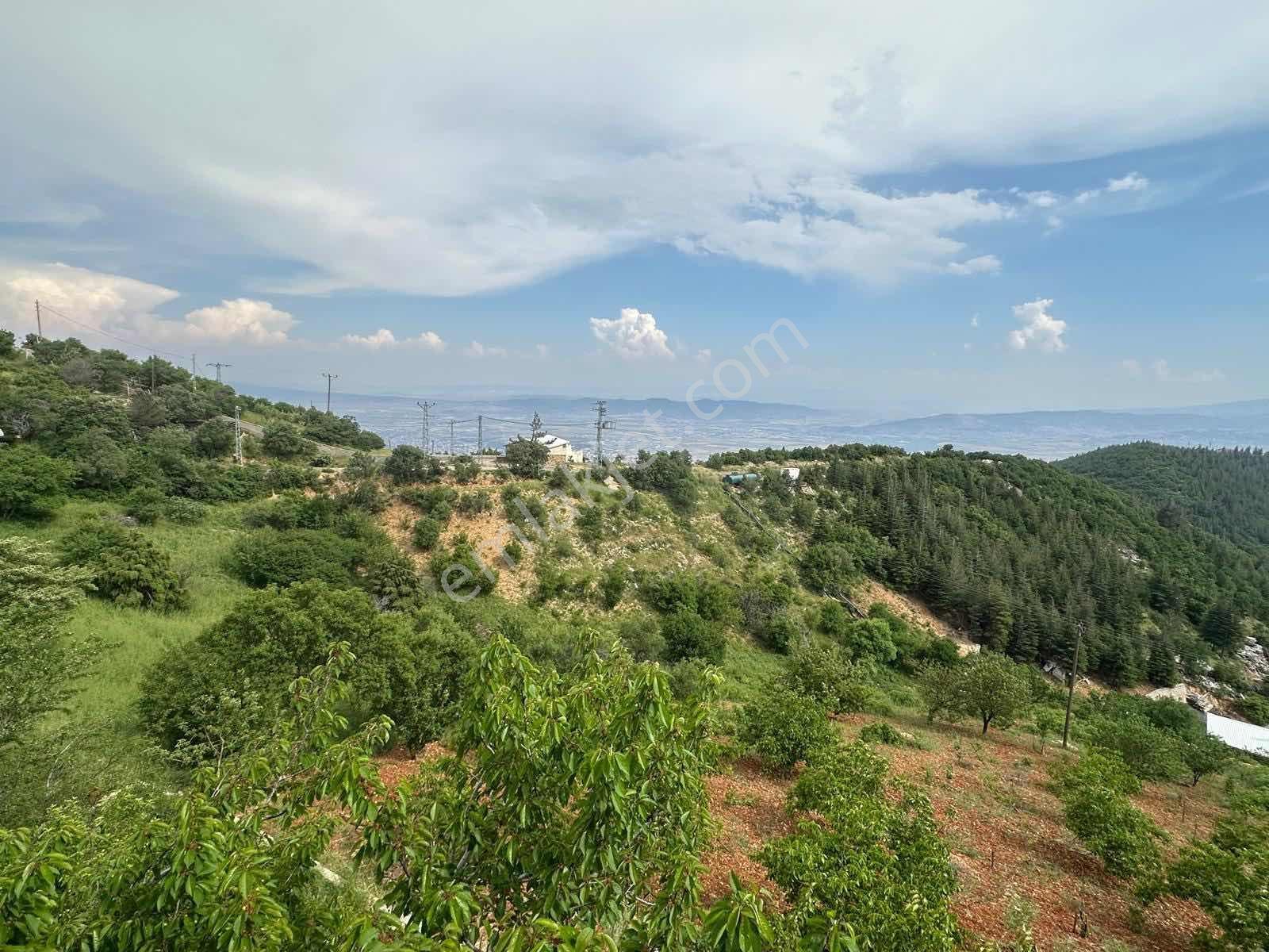 Remax Yeni'den Kuzey Çevre Yolu Üstünde Satılık Bağ & Bağ Evi