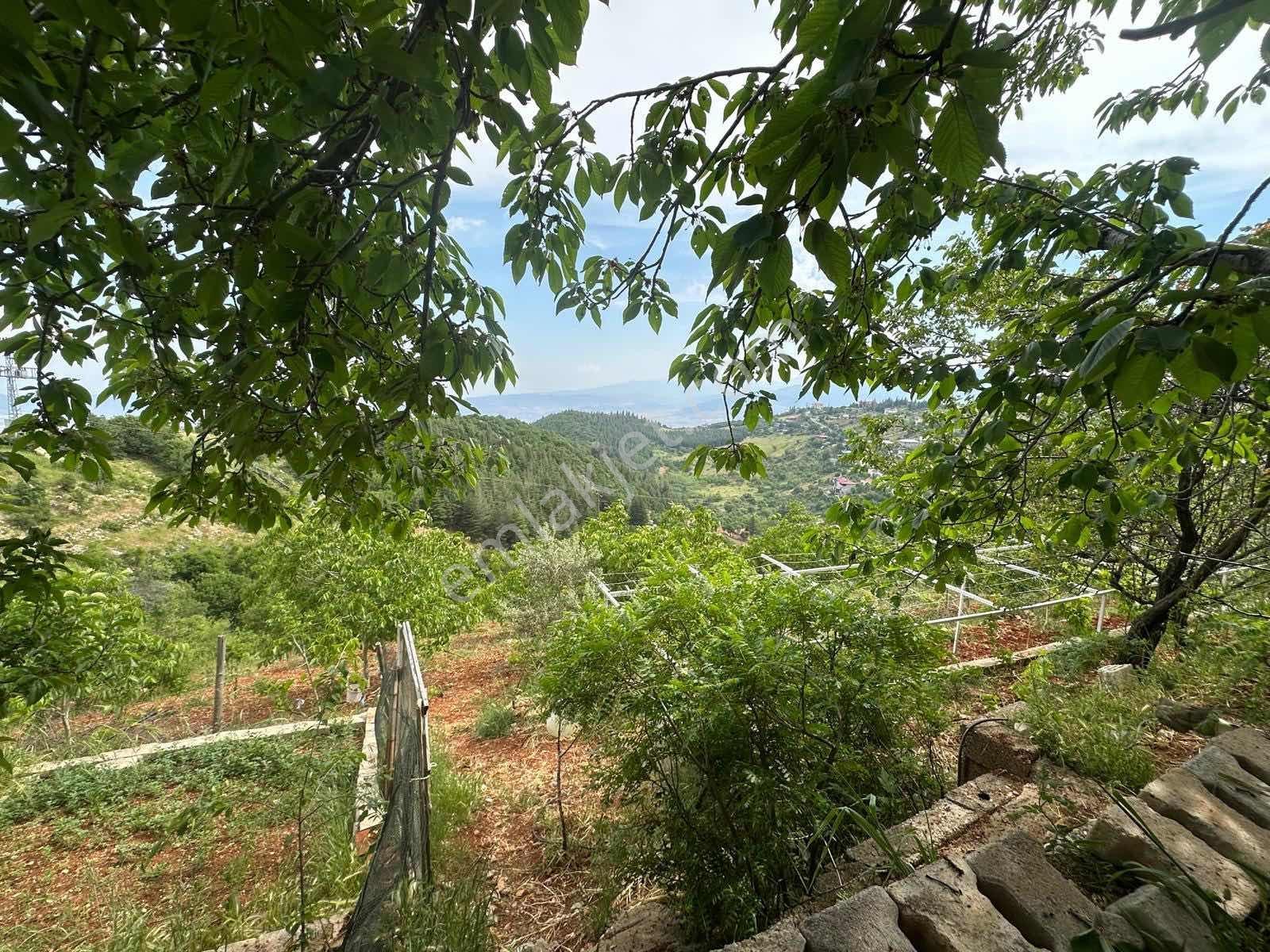Remax Yeni'den Kuzey Çevre Yolu Üstünde Satılık Bağ & Bağ Evi - Görsel 13