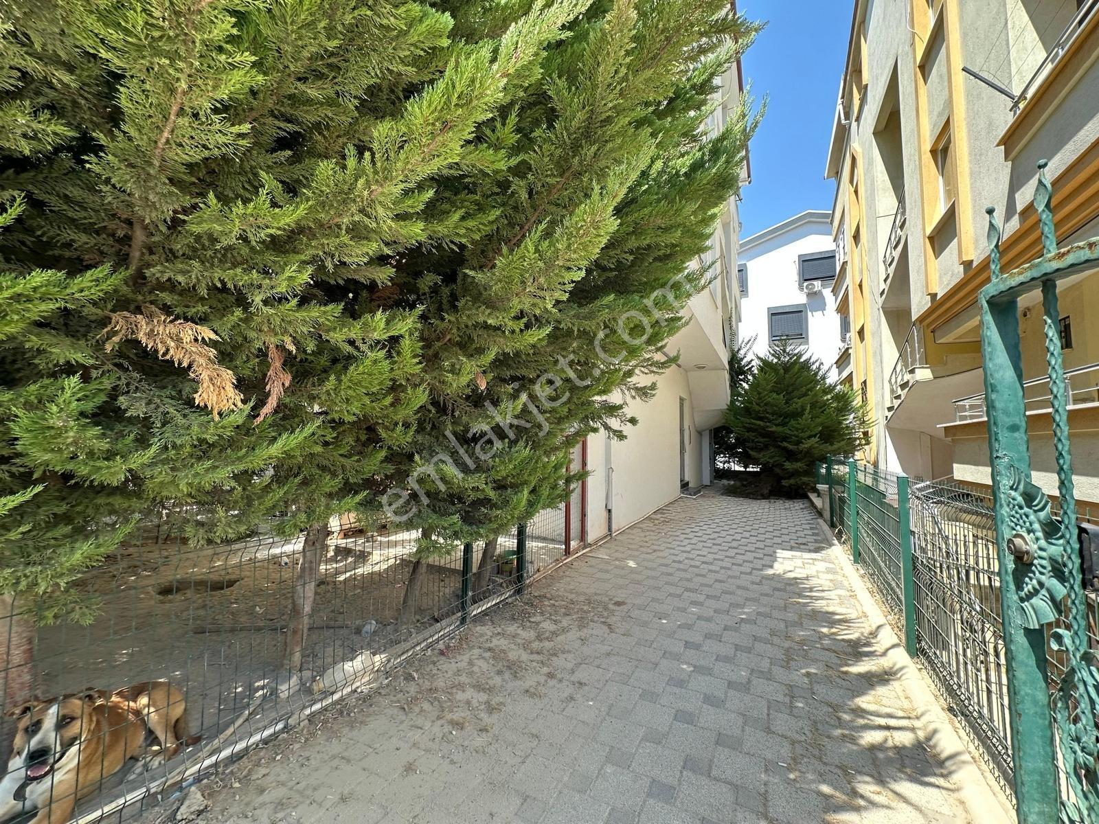 Didim Efelerde Satılık 3+1 Arakat-ön Cephe Daire - Görsel 28