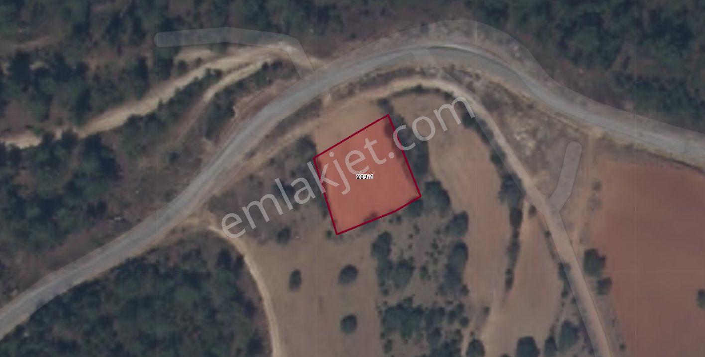 Muğla Menteşe Avcılar Mah. Satılık 1.075 M2 Tarla