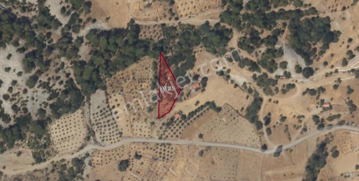 Muğla Menteşe Çatakbağyaka Mah. Satılık 1.729 M2 Tarla