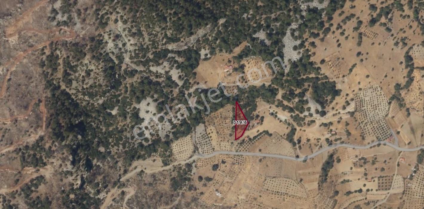 Muğla Menteşe Çatakbağyaka Mah. Satılık 1.729 M2 Tarla - Görsel 2
