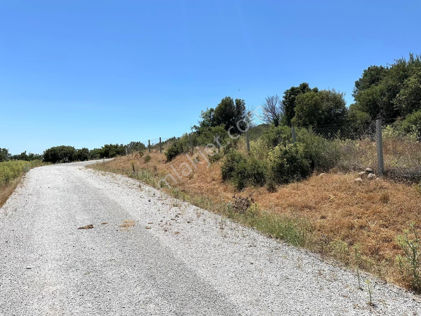 İzmir Kayadibi Mahallesinde Doğa Manzaralı Numaratajı Alınmış Konteynırlı 11.108m2 Satılık Tarla - Görsel 19