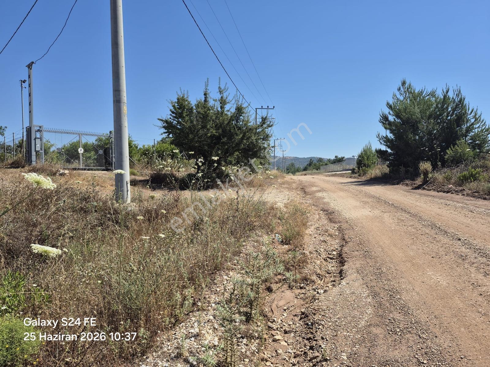 Milas Kuzyakada Yola Sıfır 9.656 M² Yatırımlık Tarla - Görsel 5