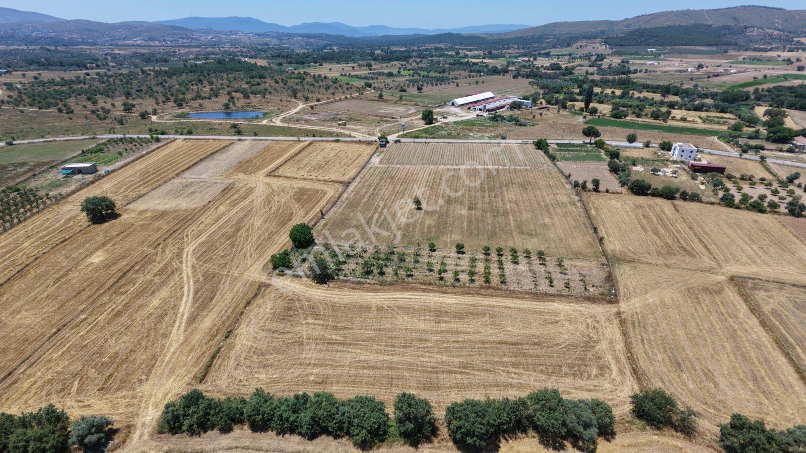 Muğla Milas Kuzyaka Köyü Satılık 4.350 M² Tarla - Görsel 14