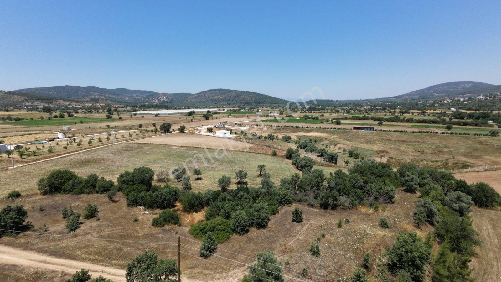 Muğla Milas Kuzyaka Köyü Satılık 11.250 M² Çiftlik Arsası - Görsel 18