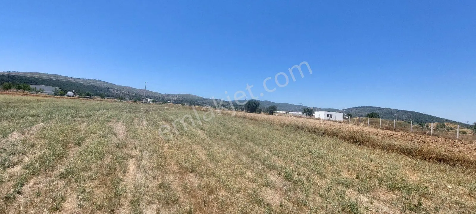 Muğla Milas Kuzyaka Köyü Satılık 11.250 M² Çiftlik Arsası - Görsel 4
