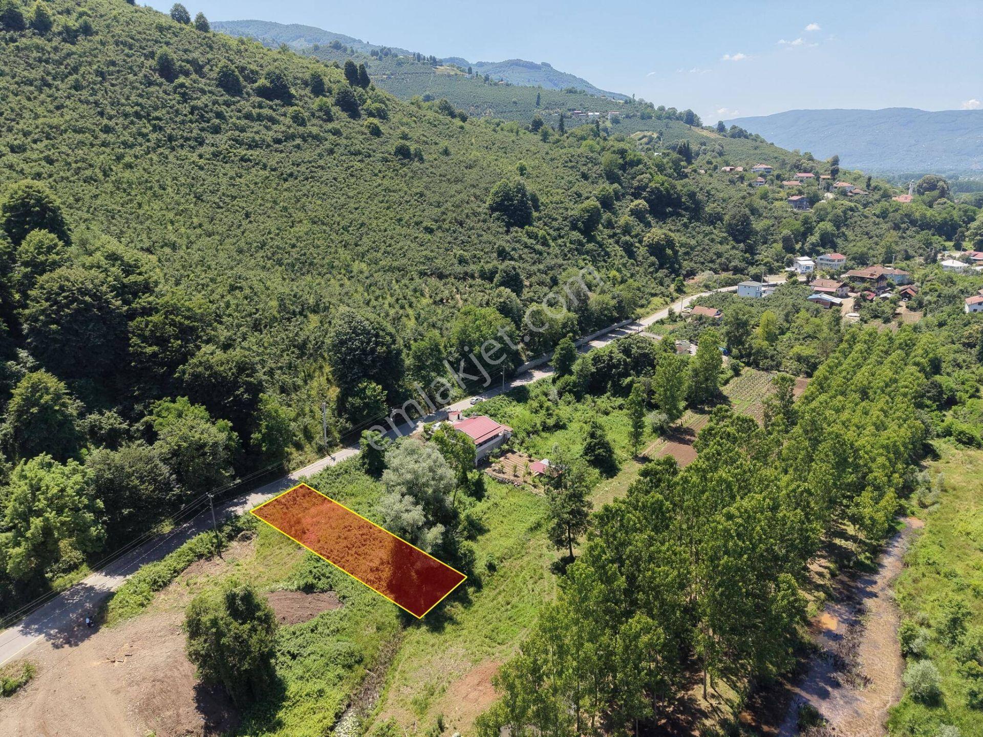 Gölyaka Hamamüstü Köyü'nde Efteni Gölü'ne Komşu 505 M2 Satılık Arsa - Görsel 3