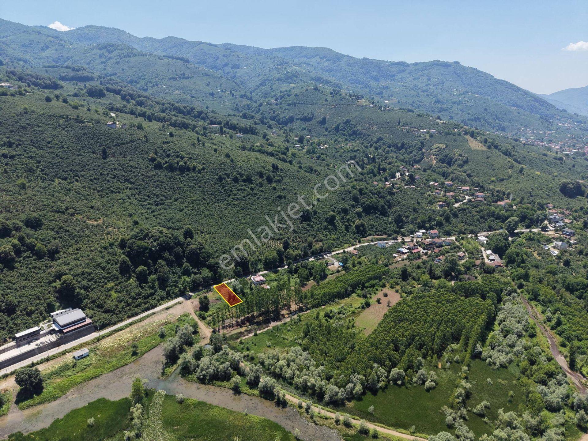 Gölyaka Hamamüstü Köyü'nde Efteni Gölü'ne Komşu 505 M2 Satılık Arsa - Görsel 25