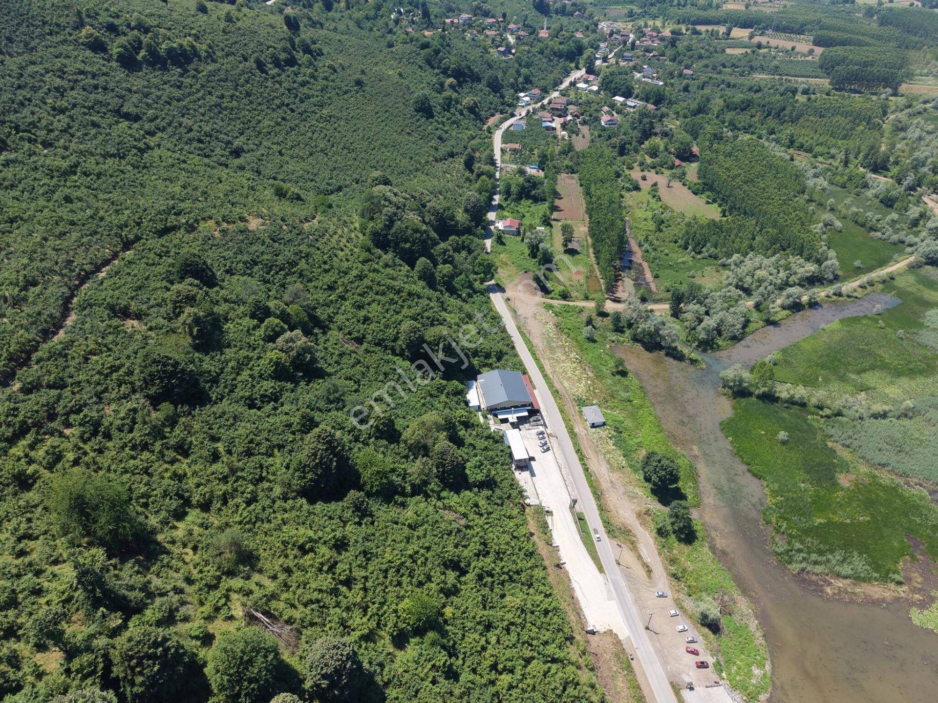 Gölyaka Hamamüstü Köyü'nde Efteni Gölü'ne Komşu 505 M2 Satılık Arsa - Görsel 35