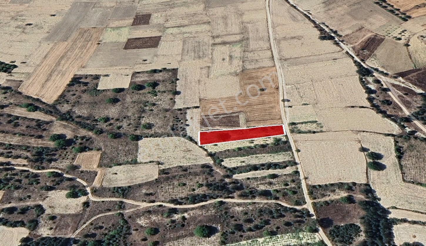 Remax Hür Furkan Atak'tan Yumaklı'da Satılık 2.081,39 M² Bağ - Görsel 5