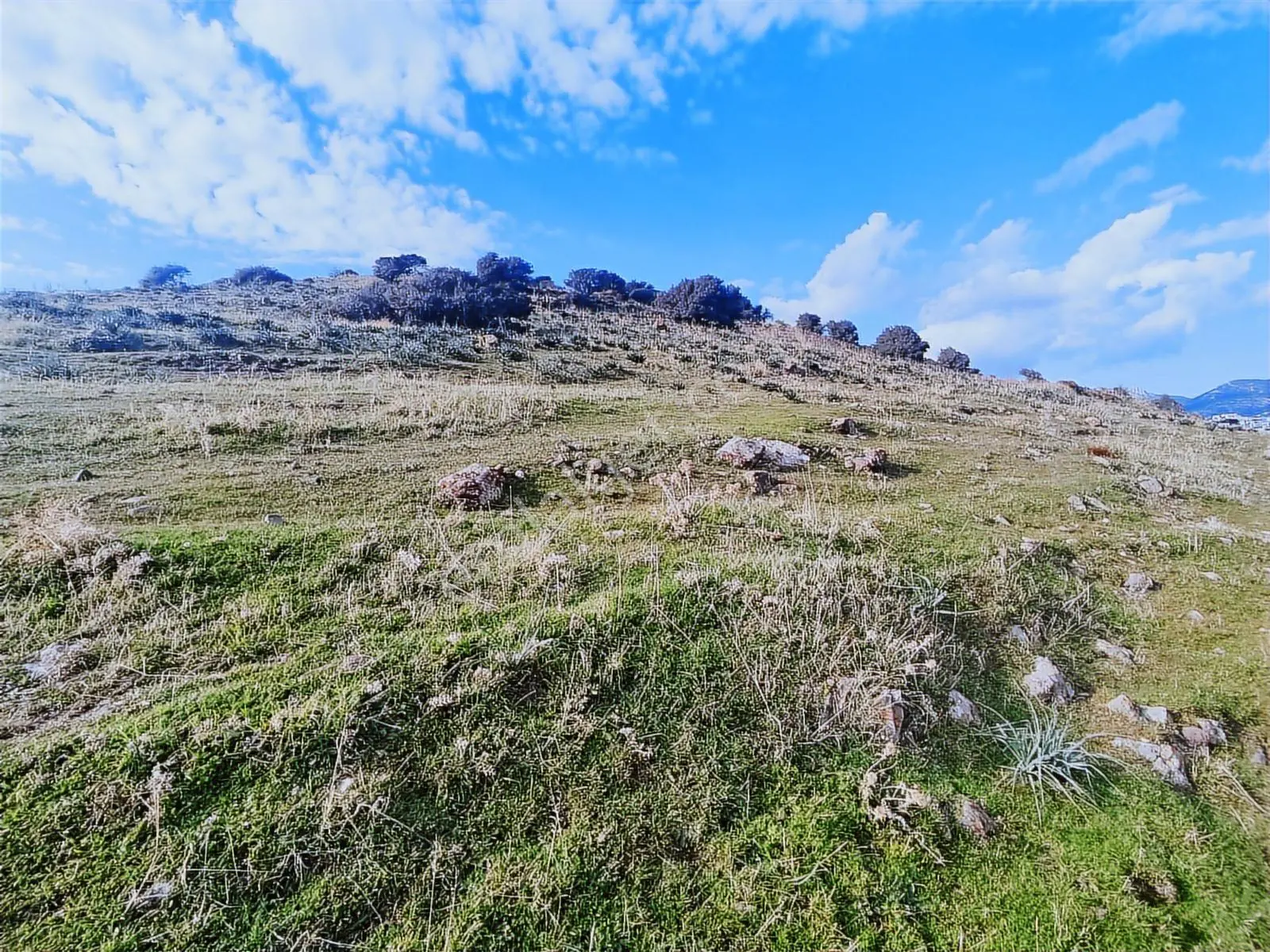 Koleksiyon Değerinde Denize Sıfır 2.282m2 Fırsat Arazi - Görsel 5