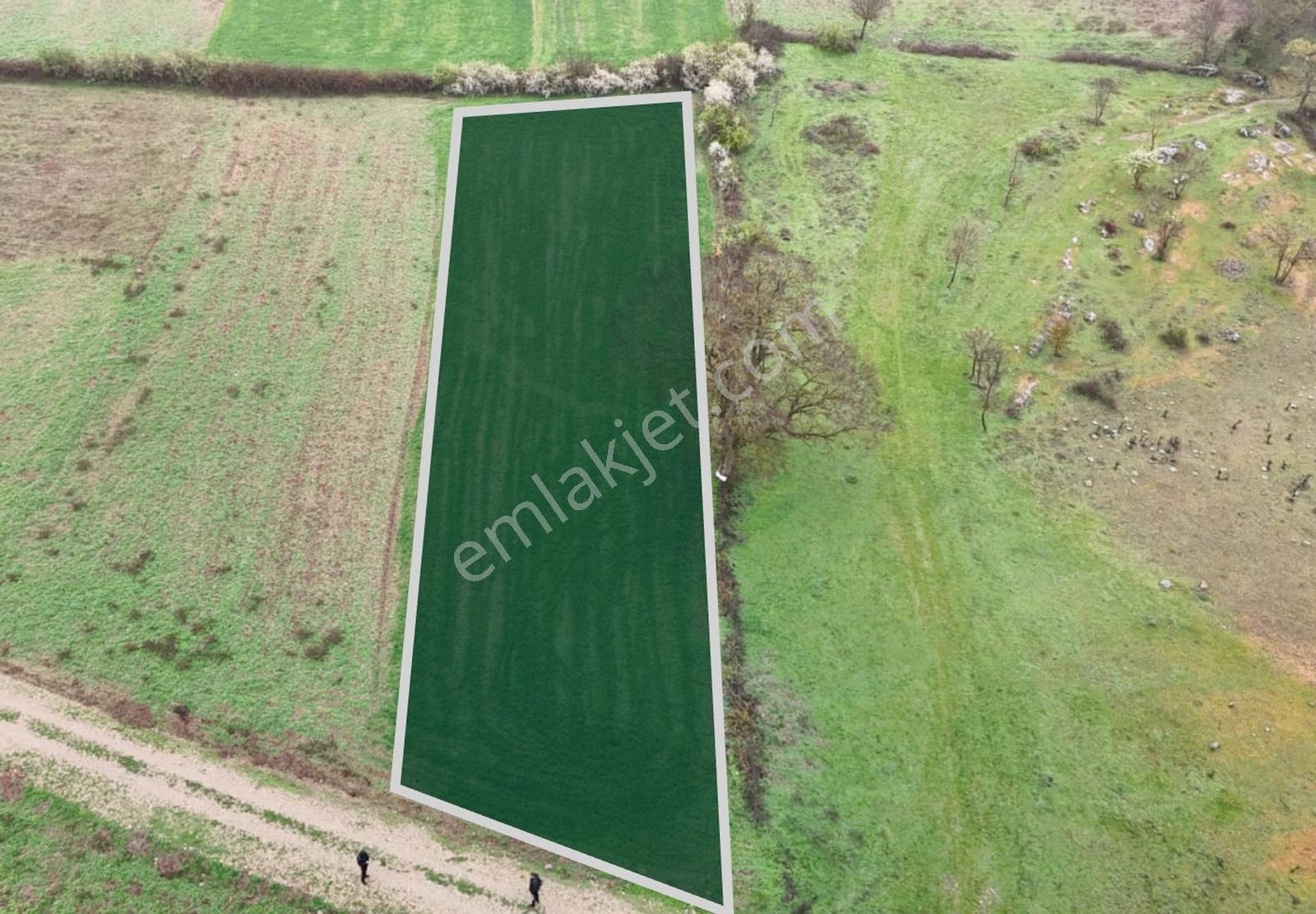 Balıkesir Sındırgı'da 1.045 M2 Yola Cephe Dümdüz Fırsat Arazi ! - Görsel 6