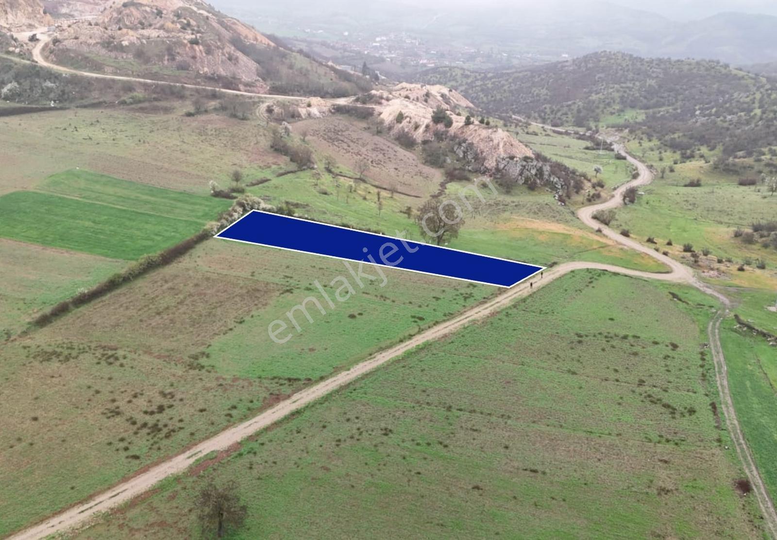 Balıkesir Sındırgı'da 1.045 M2 Yola Cephe Dümdüz Fırsat Arazi ! - Görsel 2