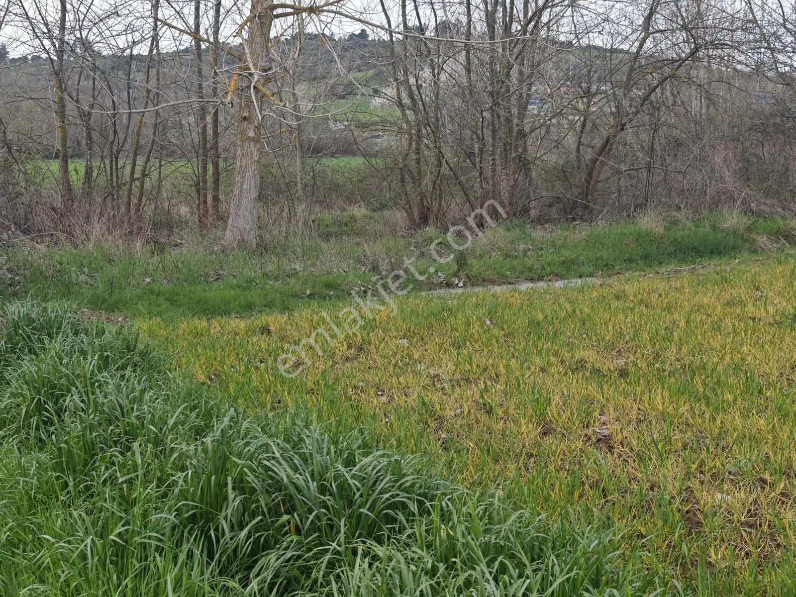 Kandıra Akdurak Mahallesi'nde 7.386 M² Yatırımlık Arsa - Görsel 15
