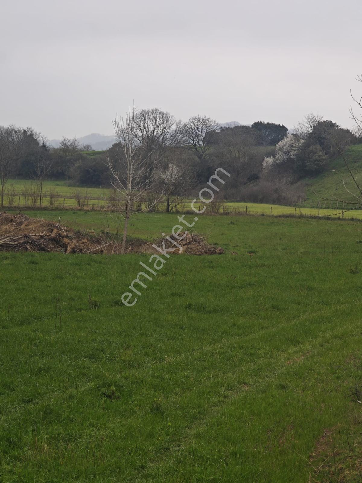 Kandıra Akdurak Mahallesi'nde 7.386 M² Yatırımlık Arsa - Görsel 8