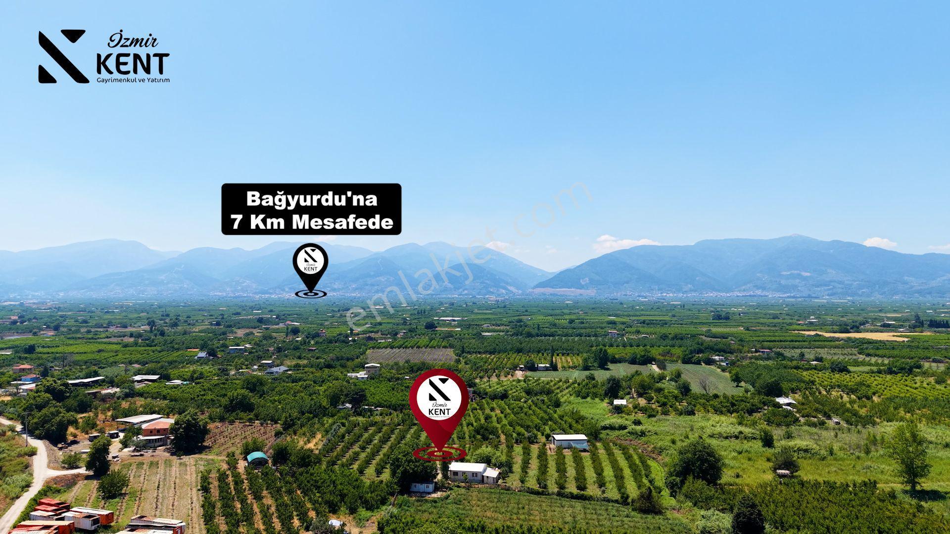 Kemalpaşa Bağyurdu Hazır Kurulu 9157 M2 Satılık Bahçe - Görsel 20