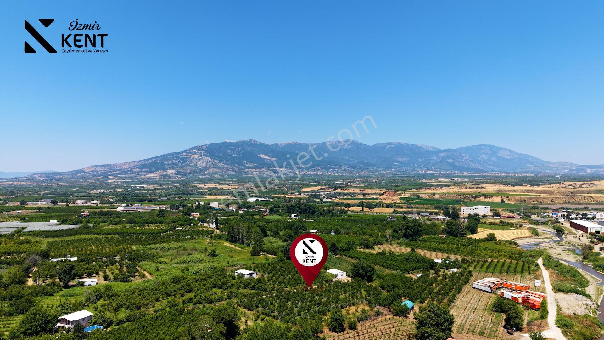 Kemalpaşa Bağyurdu Hazır Kurulu 9157 M2 Satılık Bahçe - Görsel 22