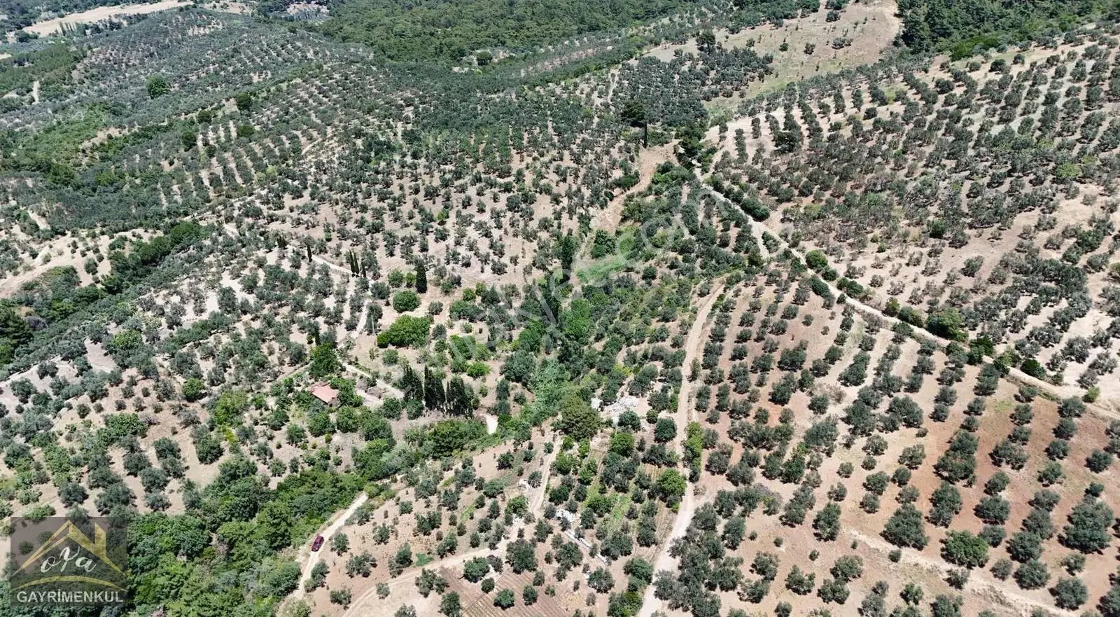 Akçay Oya Gayrimenkul'den Yola Cephe Yatırımlık Zeytinlik - Görsel 3