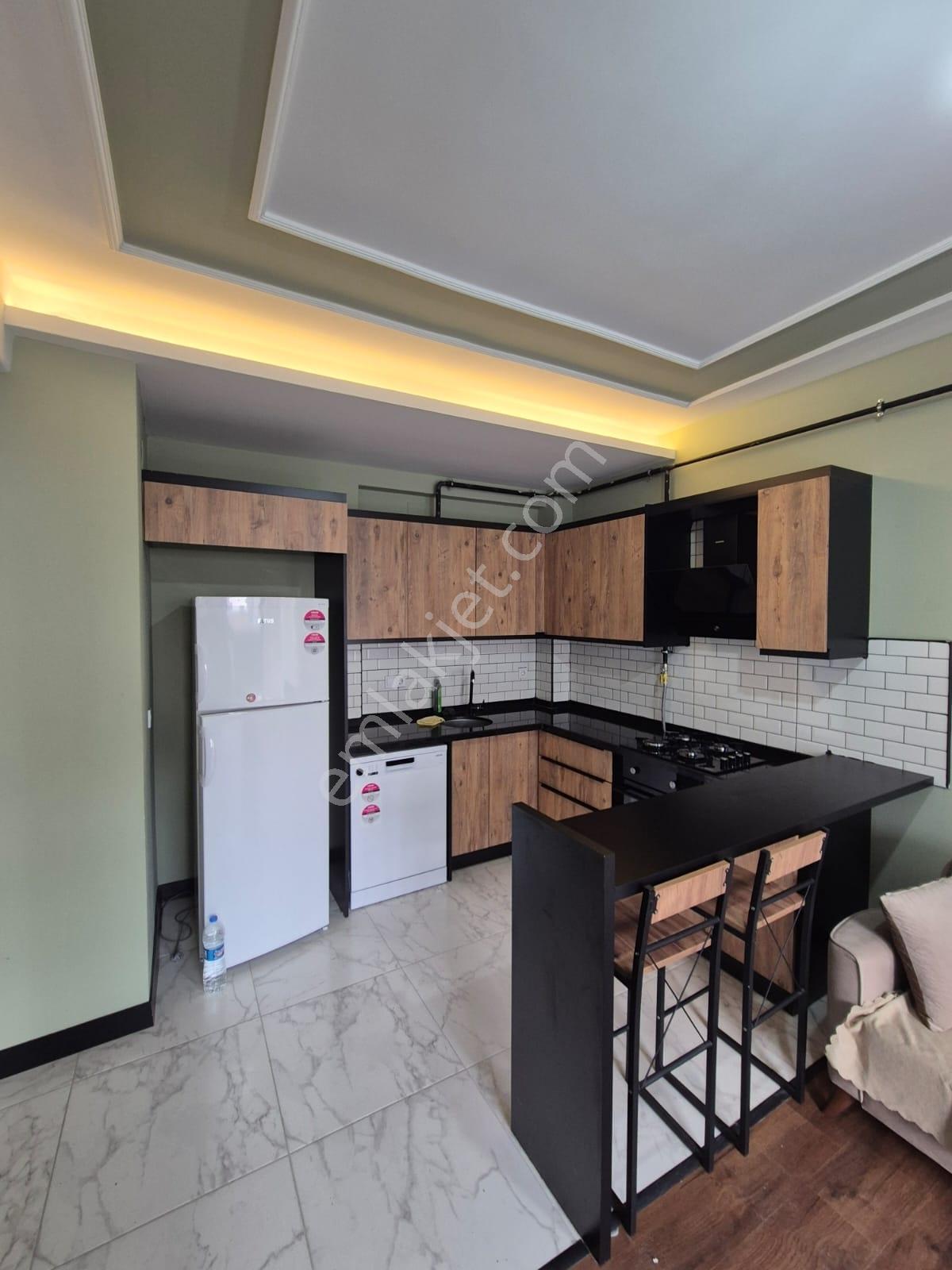 Çarkıpare'de 1+1 Eşyalı Doğalgazlı Memur Kiracılı Satılık Daire