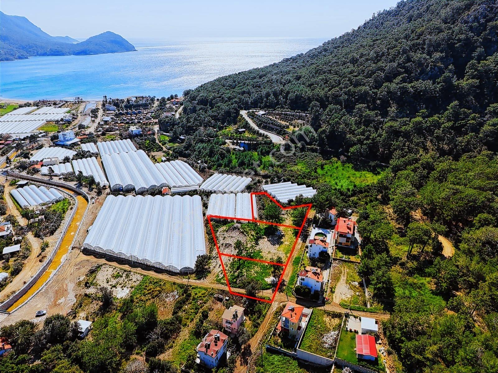 Burcu Konuk'dan Deniz Manzaralı Otel&bungalov&villa Arsası - Görsel 11