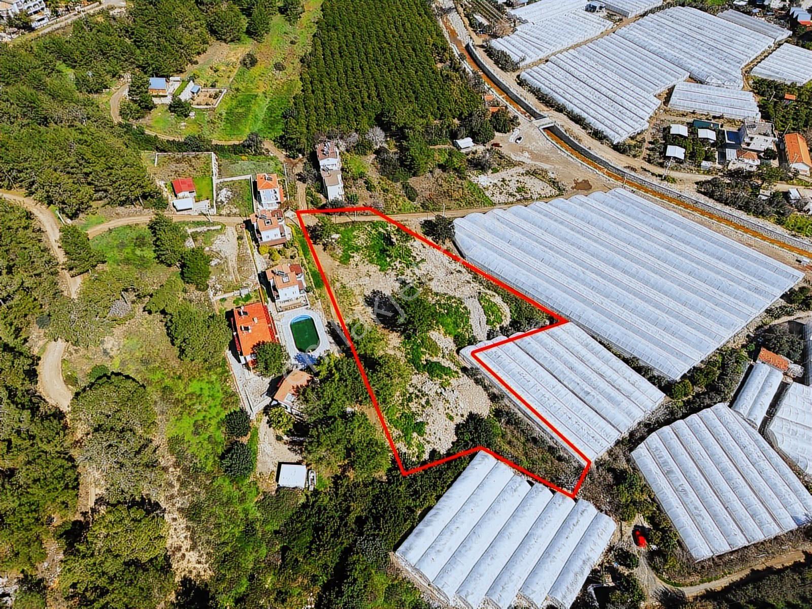 Burcu Konuk'dan Deniz Manzaralı Otel&bungalov&villa Arsası - Görsel 13