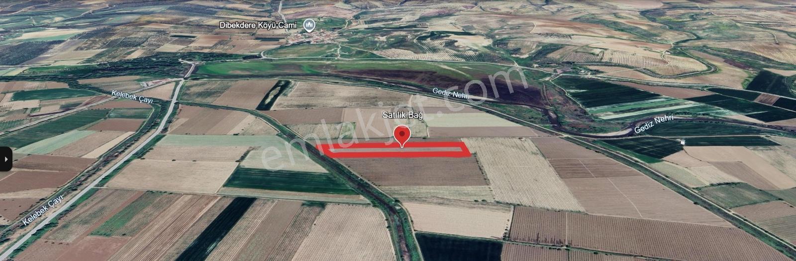 Gediz Ovasında Satılık 13.5 Dölüm Bağ - Görsel 4