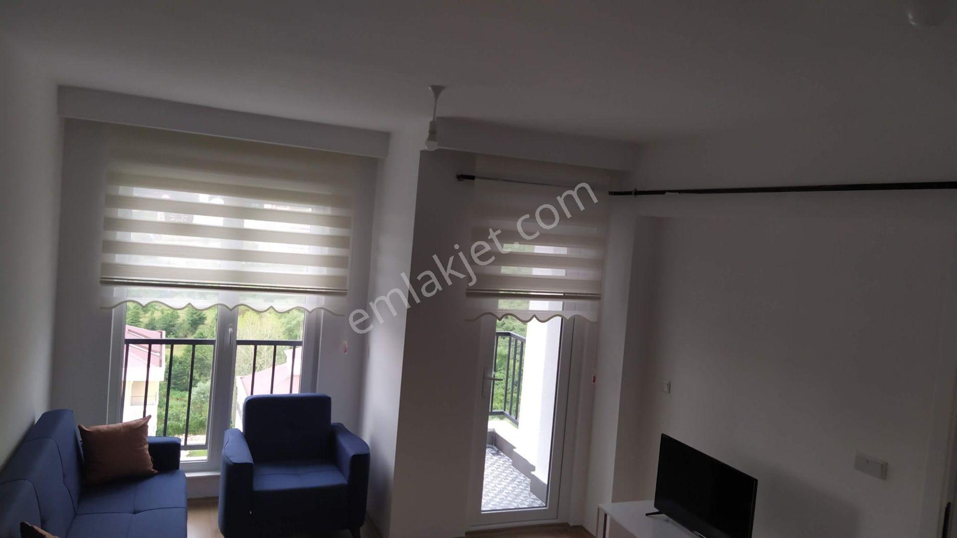 Berza Konakları'nda Eşyalı Kiralık 1+1 | Cumhuriyet Mahallesi - Görsel 3