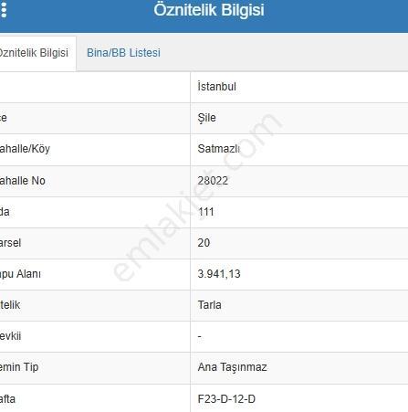 Acr Gyd'den Şile Satmazlı Mah.'de Satılık 0.20 Konut İmarlı Arsa - Görsel 13