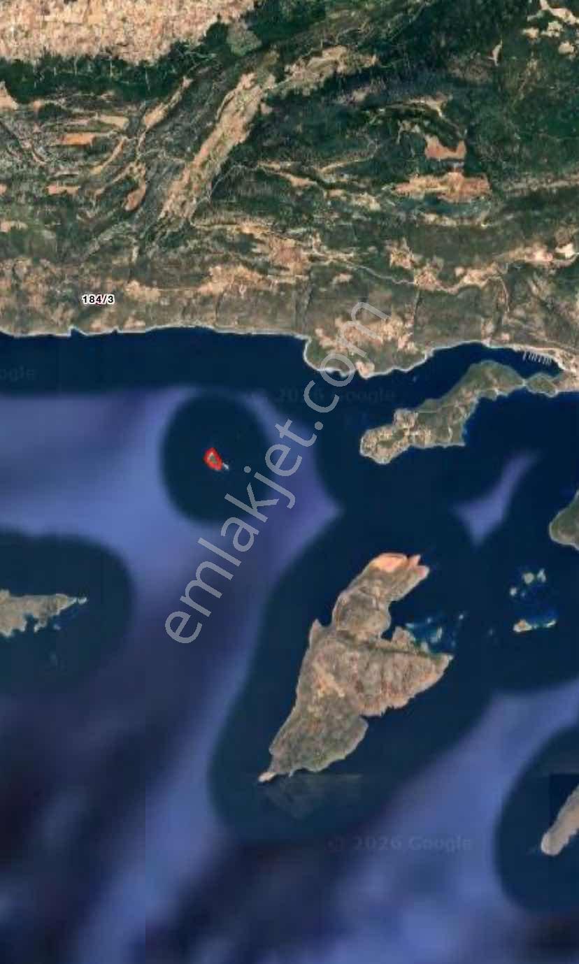 Ender Kortan'dan Kaş Gökçeören'de Tarla - Görsel 11