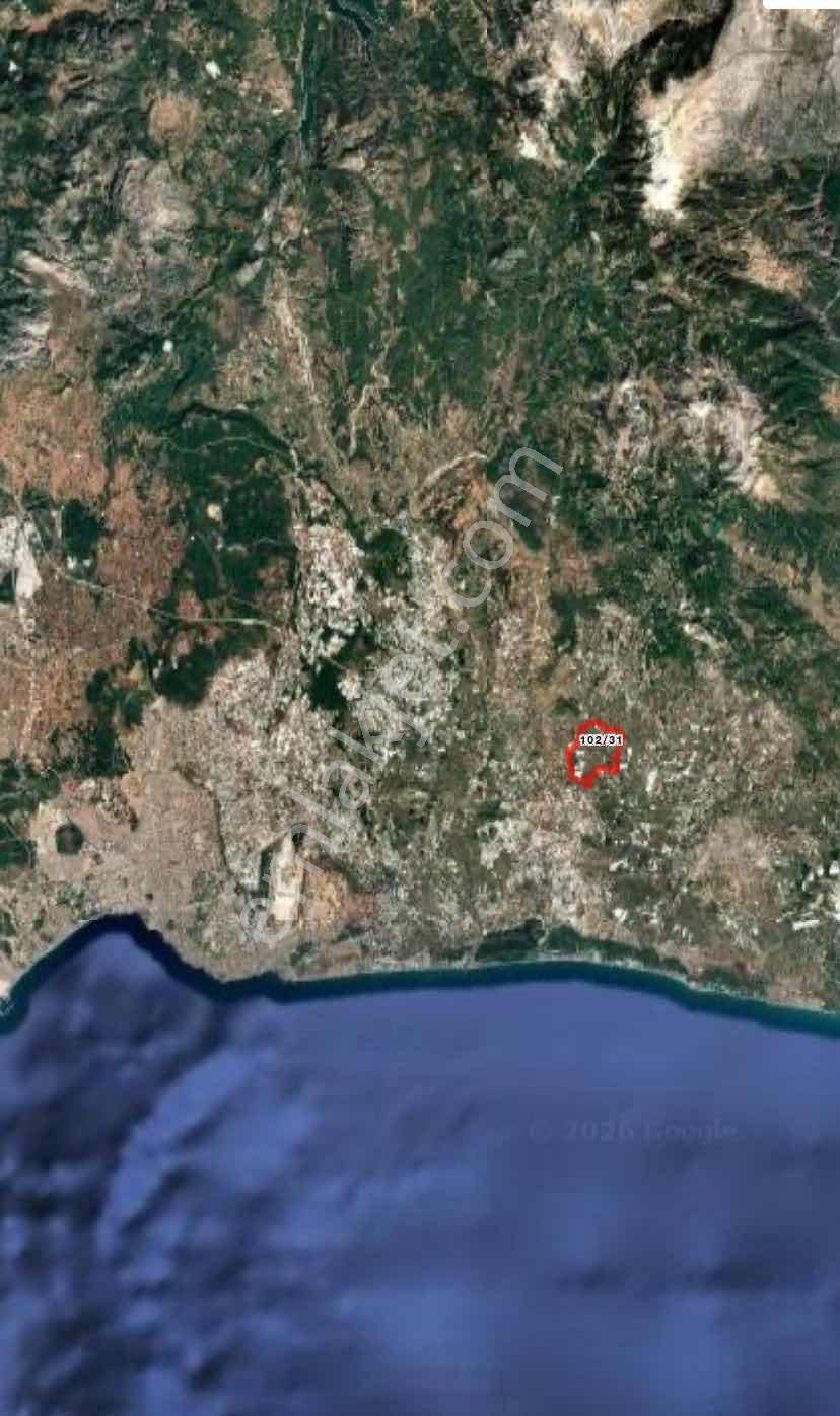 Ender Kortan'dan Serik Çanakçı'da Tarla - Görsel 3