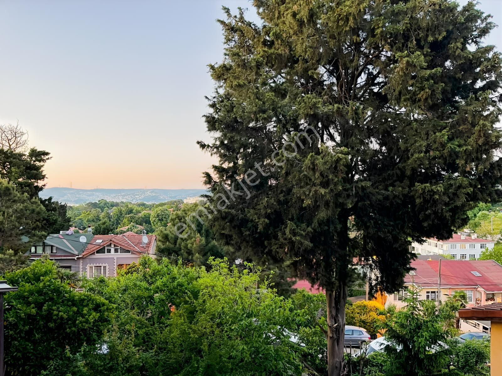 Boğaz Ve Doğa Manzaralı Satılık Villa - Görsel 26