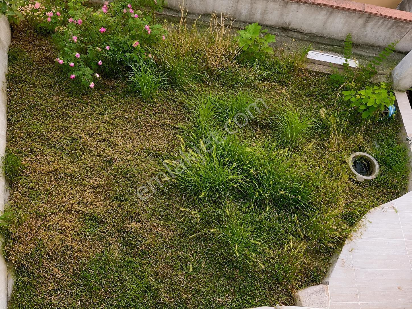 Boğaz Ve Doğa Manzaralı Satılık Villa - Görsel 13