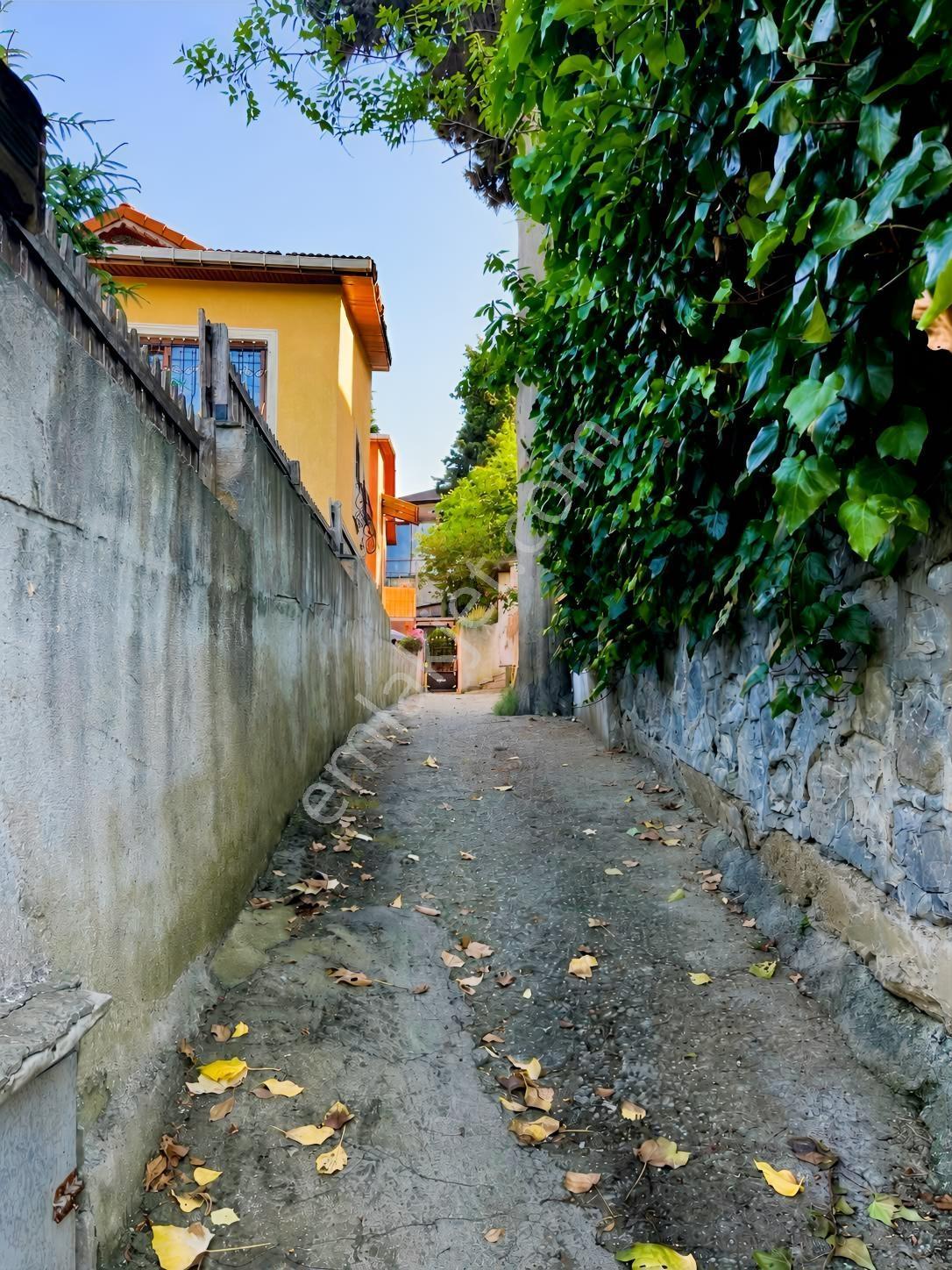Boğaz Ve Doğa Manzaralı Satılık Villa - Görsel 4