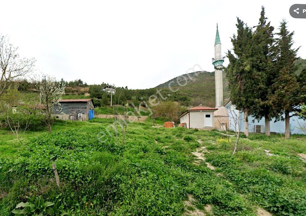 Sakarya Pamukova Şahmelek'te Doğa İle İç İçe, Yatırımlık Arsa