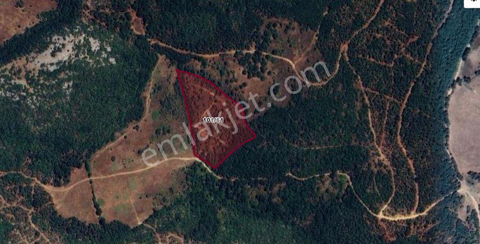Balya İşçesi Çalova Köyü 12285 M2 Satılık Arazi - Görsel 8