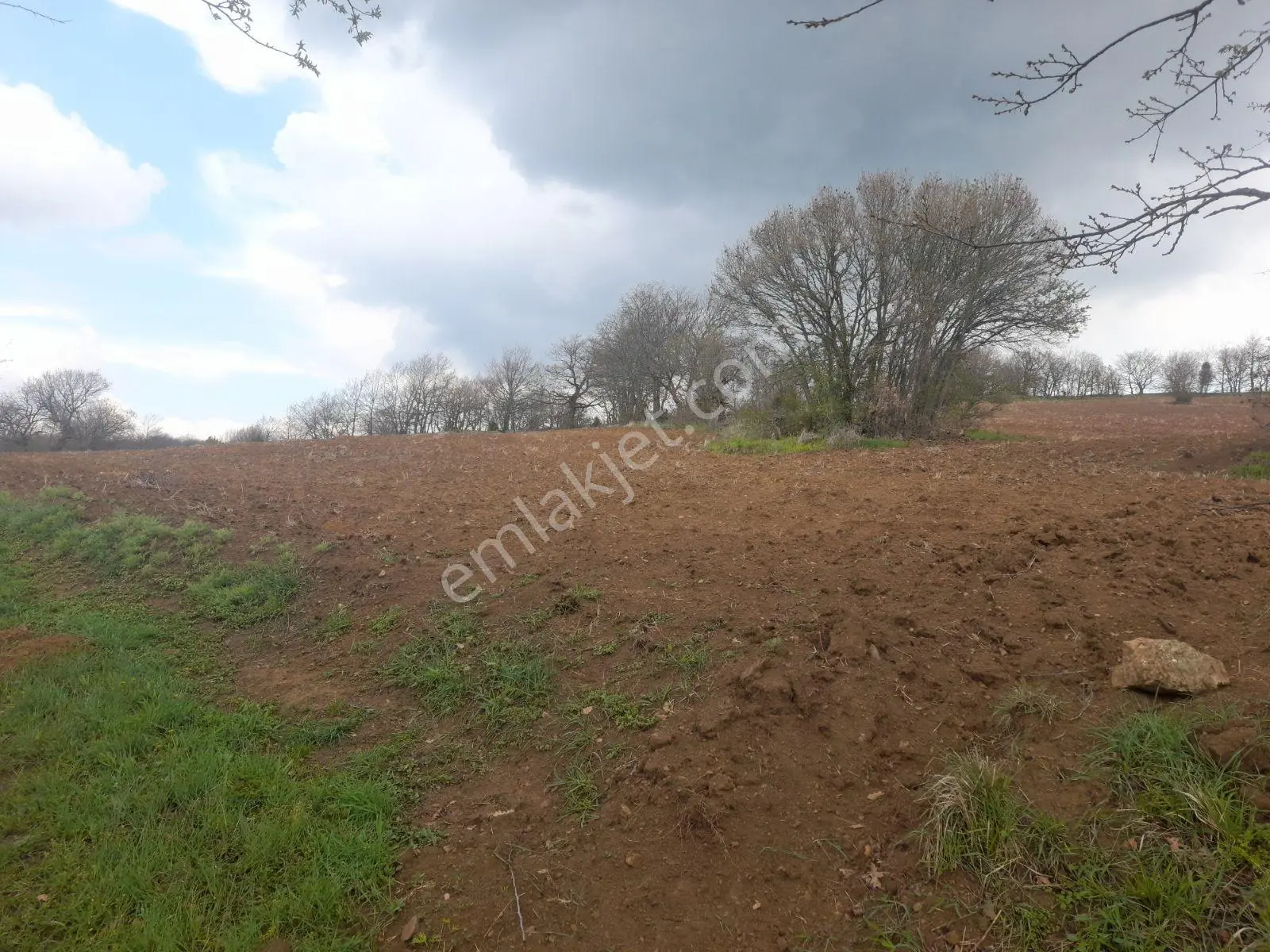 Dübekli Köyü Kadastro Yolu Olan Tarlalar