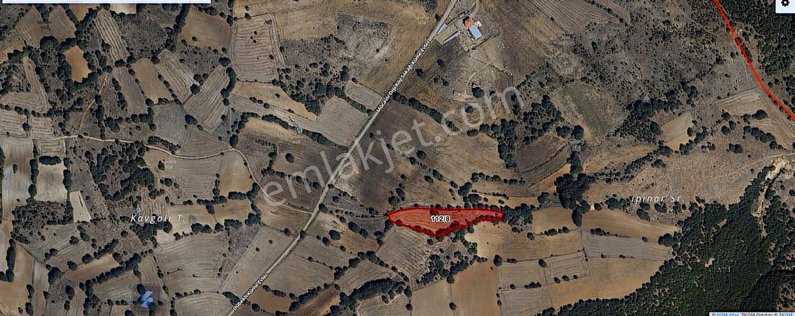 Dübekli Köyü Kadastro Yolu Olan Tarlalar - Görsel 11